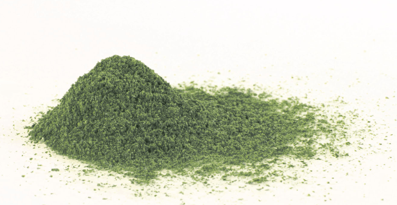 Broccoli Extract Powder