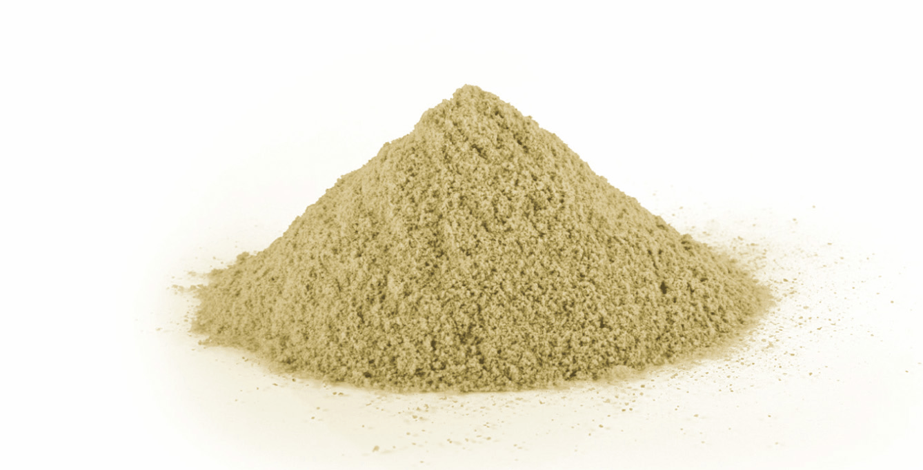 Onion Extract Powder